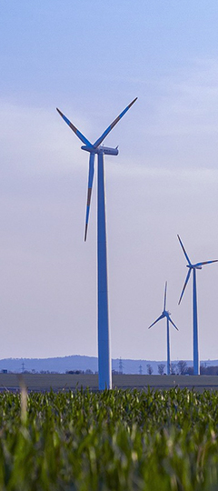 绿色科技与可持续发展